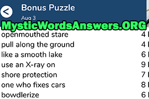 August 3 7 little words bonus answers