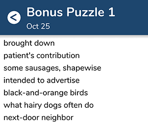 October 25th 7 little words bonus answers