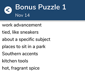 November 14th 7 little words bonus answers