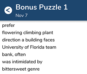 November 7th 7 little words bonus answers