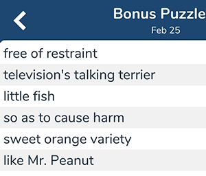 February 25th 7 little words bonus answers