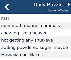 Hawaiian necklaces