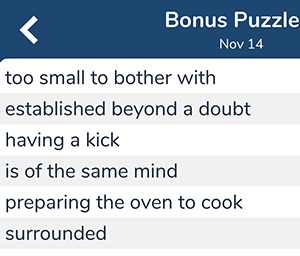 November 14th 7 little words bonus answers