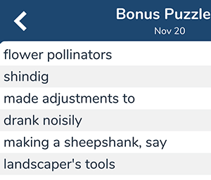 November 20th 7 little words bonus answers