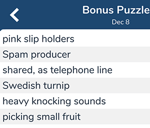 December 8th 7 little words bonus answers