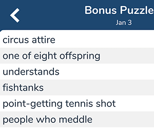 January 3rd 7 little words bonus answers
