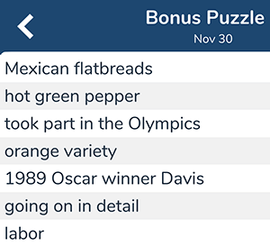 November 30th 7 little words bonus answers