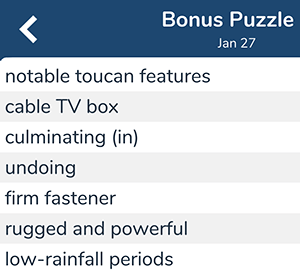 Notable toucan features